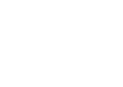 Official-Selection-IBDFF-2024