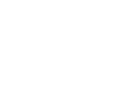 Official-Selection-LightReel-FIlm-Festival-2024